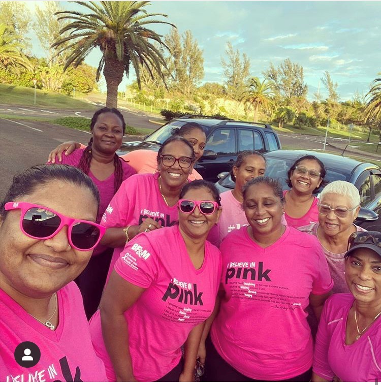 ibelieveinPINK2020 walkers